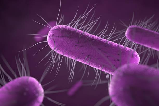 istock close up of microscopic bacteria , 3d illustration 1202978048