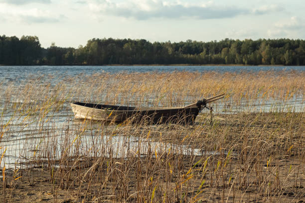 istock Boat moored on the mudy shore lake 1202978187