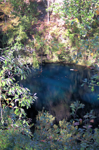 istock Florida geological sink holes. 1202981207