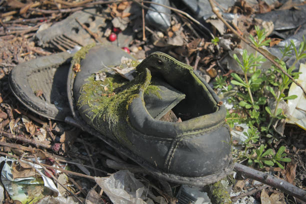 istock Old dirty boot overgrown with a moss and fungus 1202981732