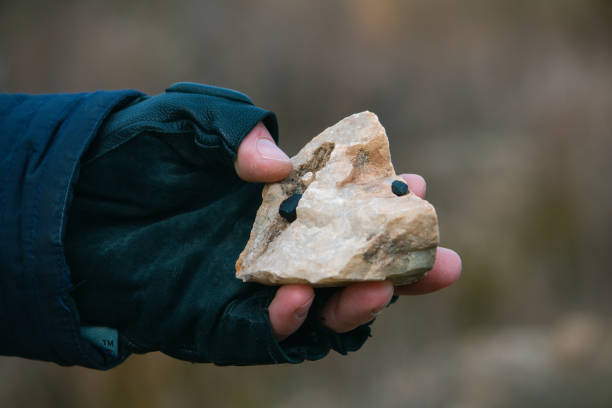 istock Hand holding a piece of quartz stone at a quarry 1202981757