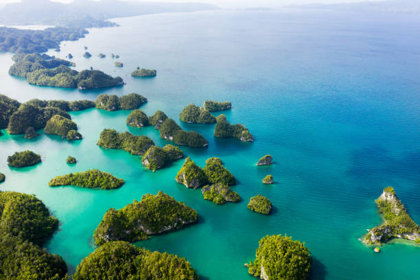 Life here is beautiful one day and perfect the next High angle shot of beautiful green islands in the vast oceans of Indonesia indian ocean stock pictures, royalty-free photos & images