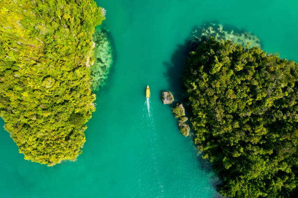istock Islands are the ultimate holiday destinations 1202982090