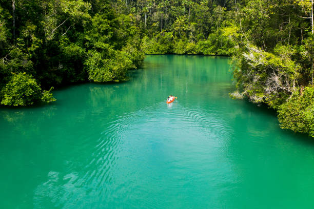 istock Canoeing is always so much better on an island 1202982094