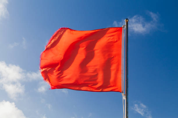 istock Red warning flag on a beach waving on strong wind 1202982243