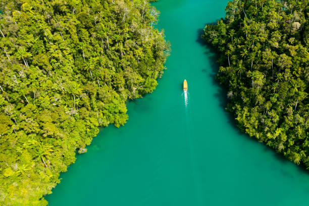 istock Happiness is an island away 1202982924