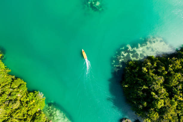 istock This place is simply paradise on earth 1202982933