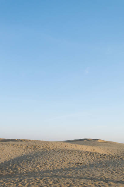 una vista dessert a jaisalmer - india travel journey camel foto e immagini stock