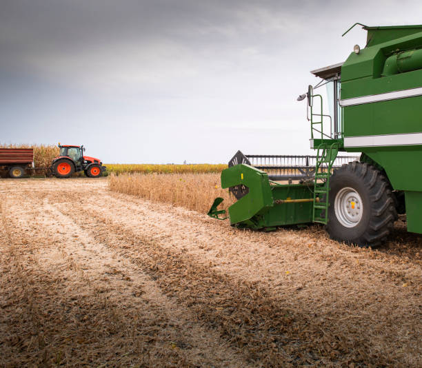 istock A combine harvesting soybeans at autumn 1202989932