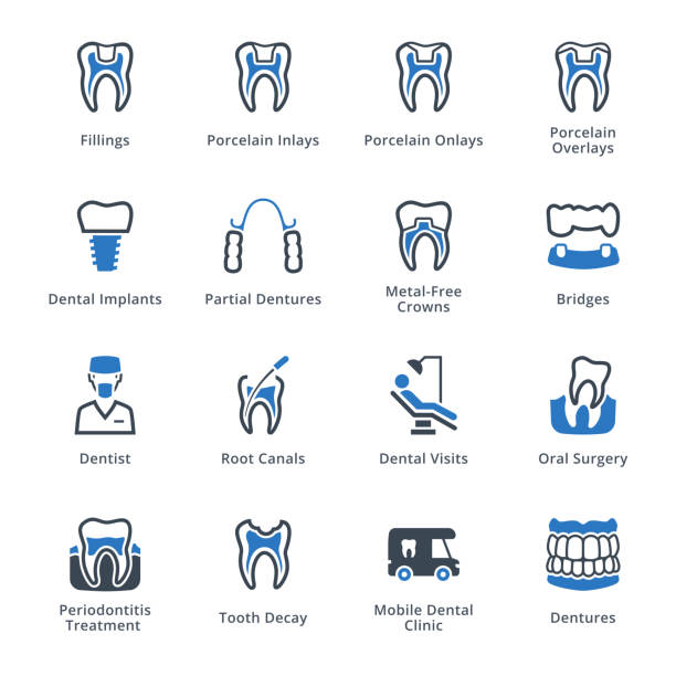 illustrations, cliparts, dessins animés et icônes de graphismes dentaires réparateurs - série bleue - human teeth dental hygiene dentist office human mouth