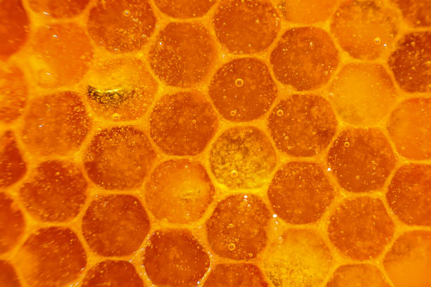 ハニークローズアップ。ハニカムの琥珀色の甘い蜂蜜。透明な蜂蜜がハニカムを流れ落ちる - healthy eating full nature close up ストックフォトと画像
