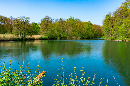 Water landscape. Sonsbeek Park. Arnhem, Holland