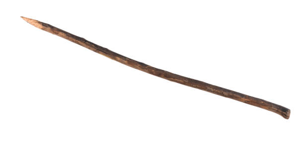 istock pointed stick, sharp wooden spear isolated on white background 1203005260