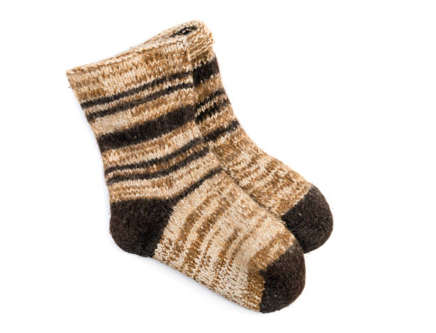 istock Homemade hand-knitted dog wool socks 1203005380