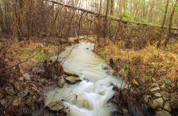 istock Stream of water amidst dry trees on a winter day 1203006067