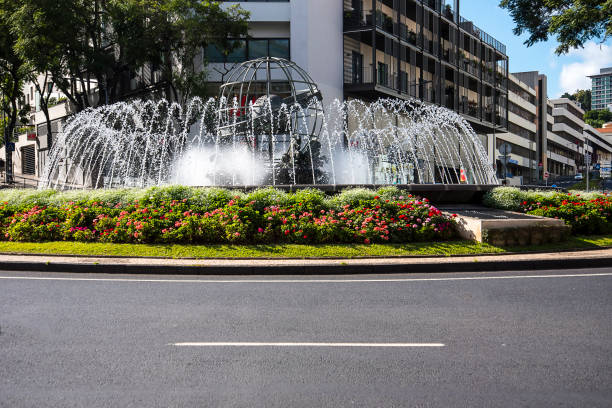 traffic island par santa catarina park à funchal madeira - santa catarina lisbonne photos et images de collection