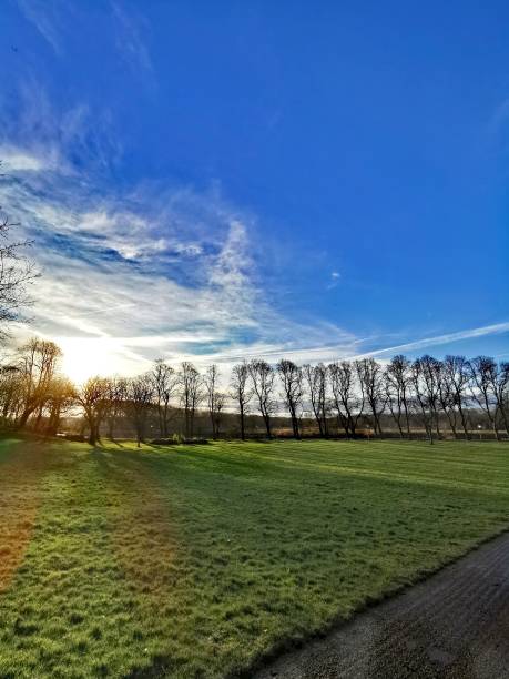 istock Long line of trees 1203011539
