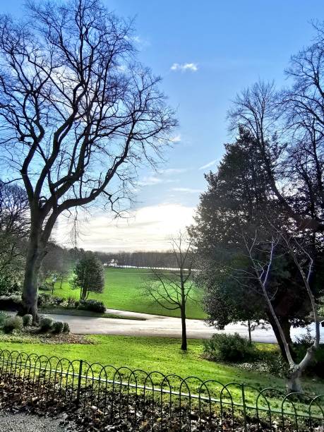 istock Sunny morning in the park 1203012844