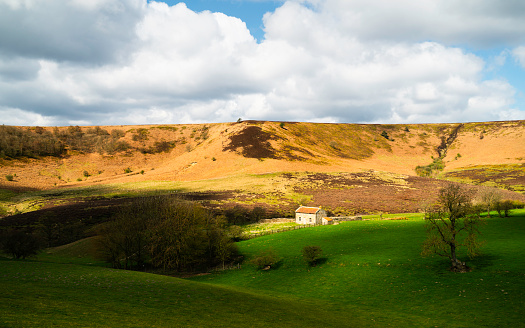Abandoned and derelict farmhouse n Hole of Horcum surrounded by the North York Moors, pasture, and rolling landscape in spring near Goathland, Yorkshire, UK.
