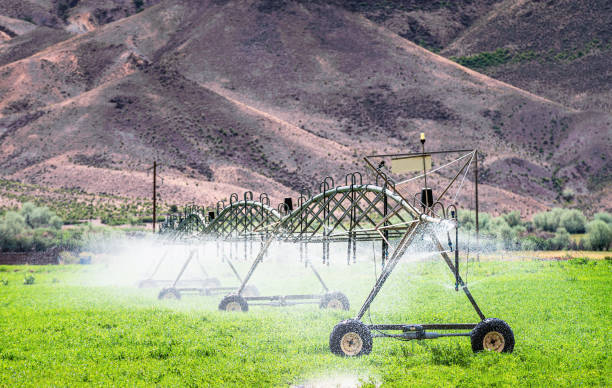 istock Crop irrigation in an arid climate 1203014273