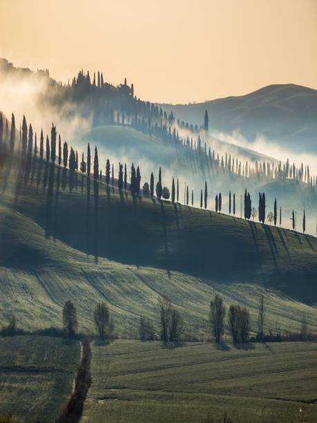 istock sunrise in Tuscany 1203015810