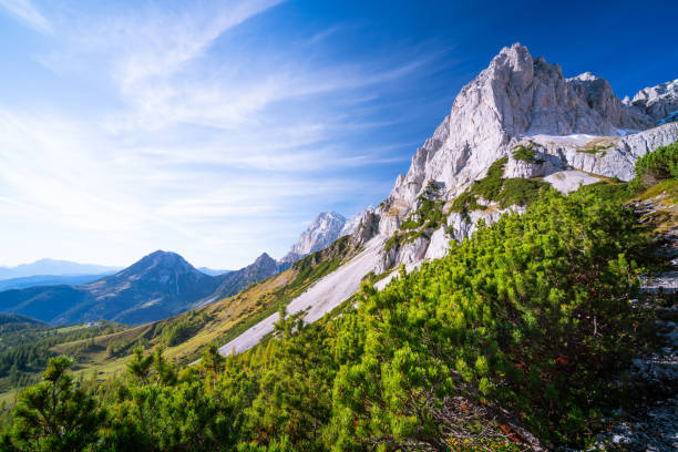 calm sunny autumn day in austrian mountains green mountain pines in foreground, pasture, rockface