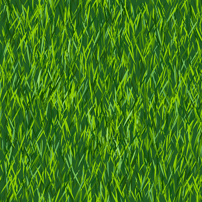 Green grass texture or background. Seamless pattern. Spring lawn texture. New grass background.