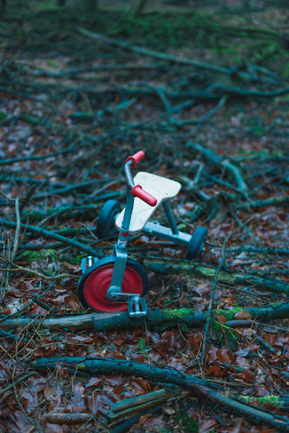 istock Abandoned kids tricycle in winter forest. 1203023269