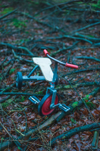 istock Abandoned kids tricycle in winter forest. 1203023290
