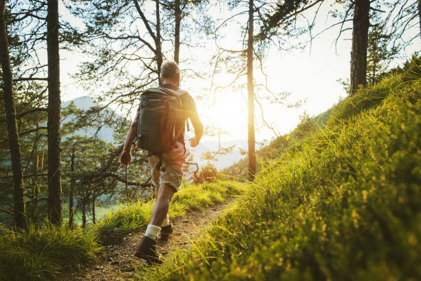 homem idoso trilha caminhada em uma floresta montanhosa, nos alpes da itália - retirement sun sunset senior adult - fotografias e filmes do acervo
