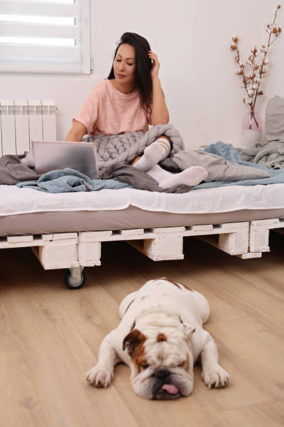 istock Woman using laptop, dog sleeping next to her. Cozy lazy weekend morning 1203030464