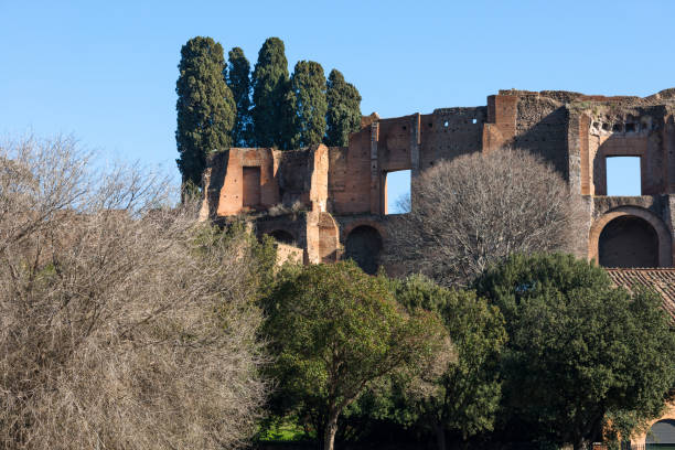 Ruins of Domus Augustana Ruins of Domus Augustana on Palatine Hill seen from Circus Maximus, Rome, Lazio, Italy. circo massimo stock pictures, royalty-free photos & images