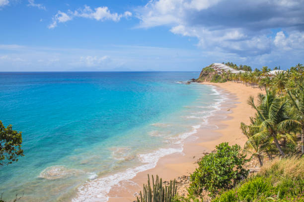 istock Caribbean beautiful beach in Antigua 1203034315