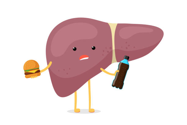 Sick Unhealthy Ill Liver Character Hold In Hand Fast Food Soda Beverage  Bottle And Burger Human Exocrine Gland Organ Destruction Concept Vector Bad  Nutrition Addiction Hepatic Illustration Stock Illustration - Download Image