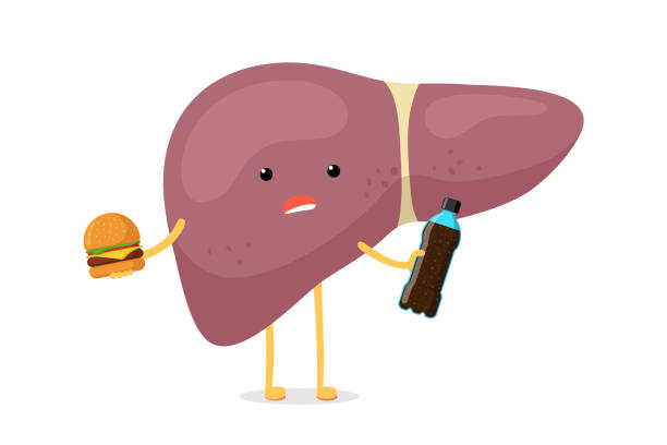 Sick Unhealthy Ill Liver Character Hold In Hand Fast Food Soda Beverage Bottle And Burger Human Exocrine Gland Organ Destruction Concept Vector Bad Nutrition Addiction Hepatic Illustration Stock Illustration - Download Image Sick Unhealthy Ill Liver Character Hold In Hand Fast Food Soda Beverage Bottle And Burger Human Exocrine Gland Organ Destruction Concept Vector Bad Nutrition Addiction Hepatic Illustration Stock Illustration - Download Image