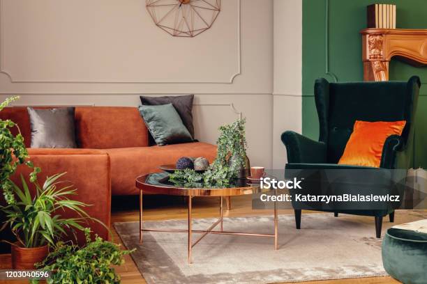 Urban Jungle In Beautiful Living Room With Grey Orange And Green Interior Stock Photo - Download Image Now