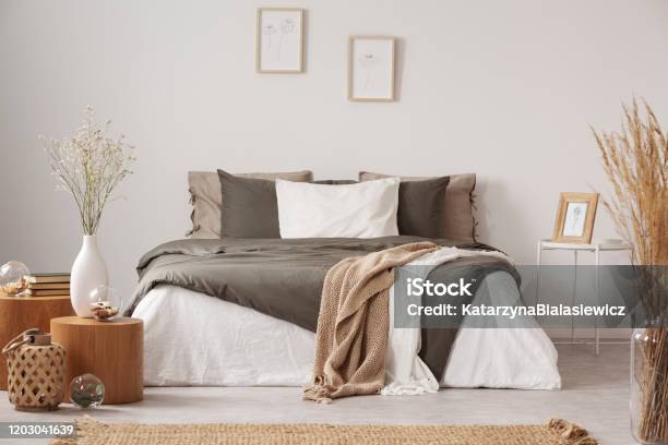 Spacious Bedroom Interior In Beige And Olive Colour Stock Photo - Download Image Now