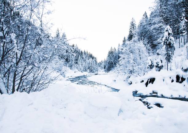 ein bach fließt durch einen verschneiten wald - winter stream river snowing stock-fotos und bilder