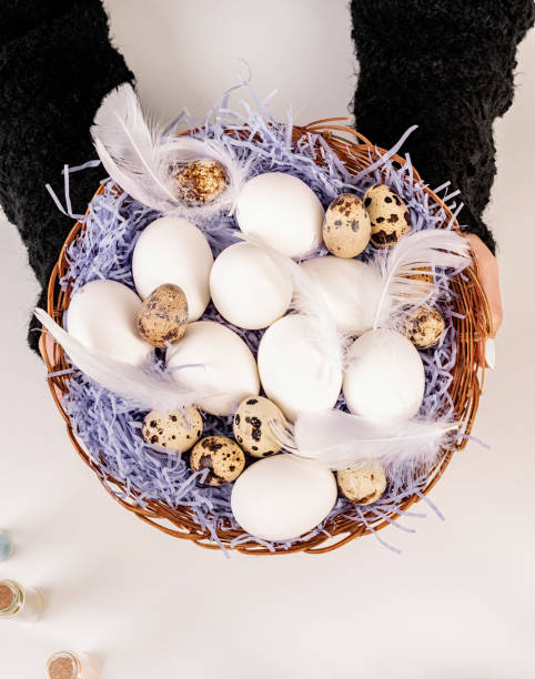 istock Woman hands holding a big basket with eggs and feathers 1203042897