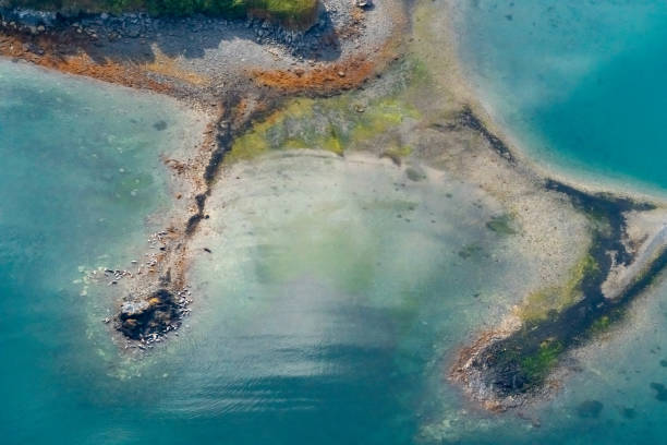 Aerial view of Playa Ballena (Whale Beach) in Marino Ballena National Park, Costa Rica. Punta Uvita is a natural rock formation in the shape of a whale tail.  This is a view of the narrow section of the tail where waves form on either side.  During low tide the entire beach is underwater.