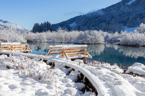 istock Zelenci springs at Kranjska Gora Slovenia 1203046855