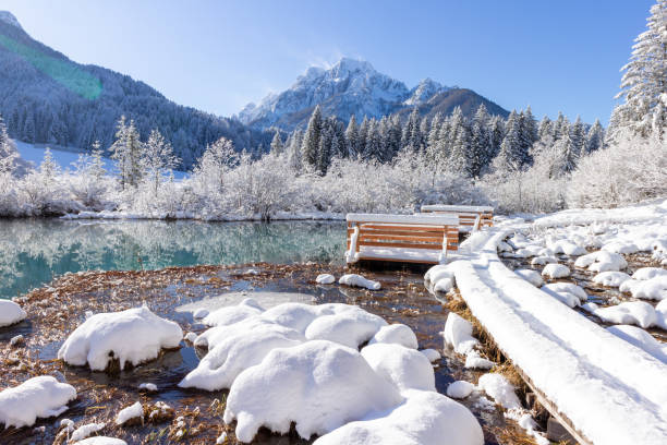Zelenci springs at Kranjska Gora Slovenia Zelenci Springs nature reserve near Kranjska Gora, Slovenia in Winter. Sunny morning with fresh Snowfall. Sava Dolinka river source. julian alps stock pictures, royalty-free photos & images