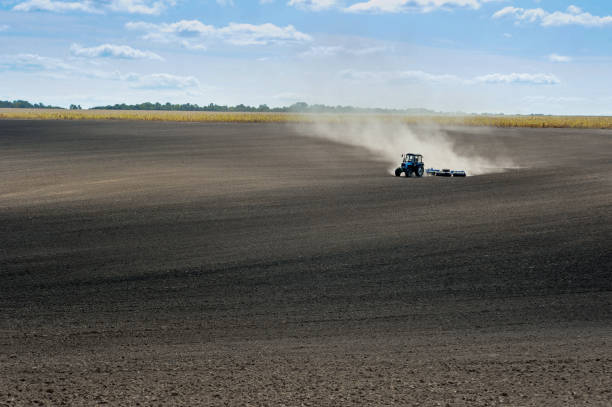 istock blue tractor on the plowed field performs the preparation for sowing. 1203048355