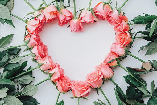 Heart frame of fresh pink roses in full bloom on white background. Bunch of flowers. Copy space. Top view, flat lay. Valentine's day or Mother's day, love concept.