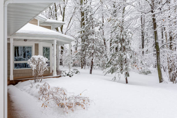 istock Home in Snowy Woods in Winter 1203050215