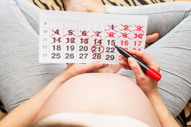 de jonge zwangere vrouw merken bevallingsdag in kalender. baby verwacht concept. planning van de toekomst. - pregnant count stockfoto's en -beelden