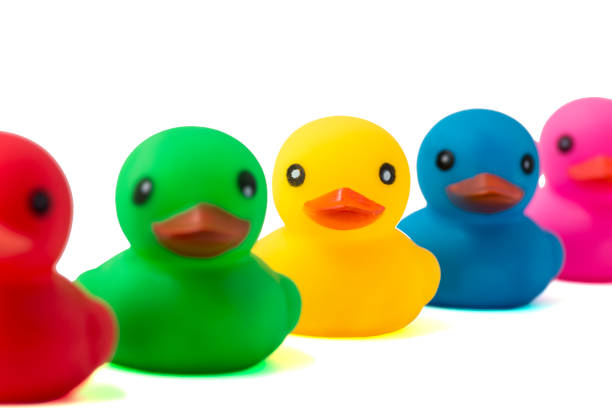 istock A row of rubber ducks on a white background. Bright colored rubber ducks in a line. Rubber ducks in a row isolated on a white background. 1203050369