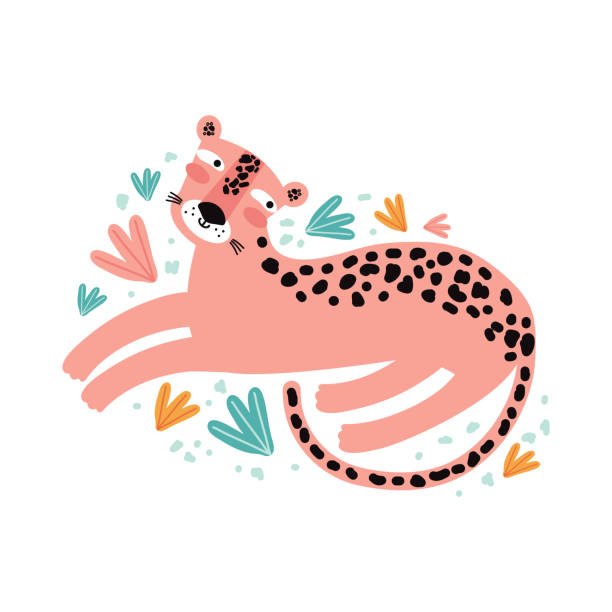 ilustrações, clipart, desenhos animados e ícones de personagem é um leopardo bonito em trópicos. ilustração vetorial plana. grande gato selvagem. animal engra�çado. design, para impressão em tecido, roupas, papel de embalagem, cama, impressão, cartões. fundo de bebê - scandic