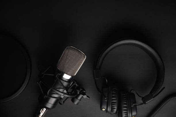 istock Black studio microphone on a black background with a pop filter with space for design, baner with space 1203054835