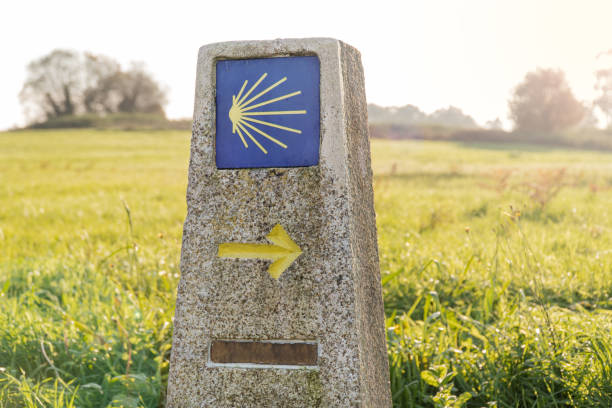 Camino de Santiago sign Camino de Santiago sign with green grass background. Pilgrimage sign to Santiago de Compostela camino de santiago photos stock pictures, royalty-free photos & images